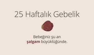 Adım Adım Gebelik: Hamilelikte 25. Hafta