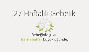 Adım Adım Gebelik: Hamilelikte 27. Hafta