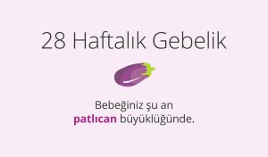 Adım Adım Gebelik: Hamilelikte 28. Hafta