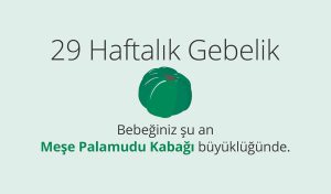 Adım Adım Gebelik: Hamilelikte 29. Hafta