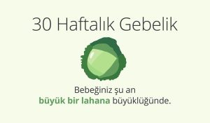 Adım Adım Gebelik: Hamilelikte 30. Hafta