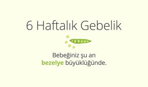 Adım Adım Gebelik: Hamilelikte 6. Hafta