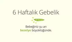 Adım Adım Gebelik: Hamilelikte 6. Hafta