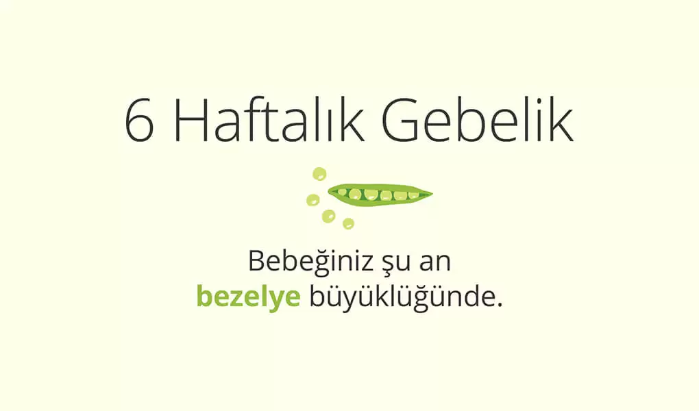 Adım Adım Gebelik: Hamilelikte 6. Hafta