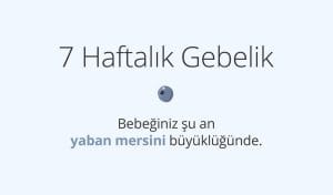 Adım Adım Gebelik: Hamilelikte 7. Hafta