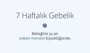 Adım Adım Gebelik: Hamilelikte 7. Hafta