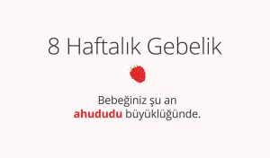 Adım Adım Gebelik: Hamilelikte 8. Hafta