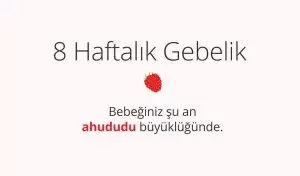 Adım Adım Gebelik: Hamilelikte 8. Hafta