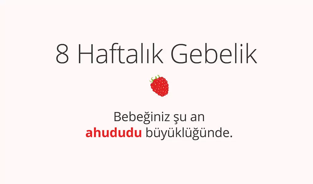 Adım Adım Gebelik: Hamilelikte 8. Hafta
