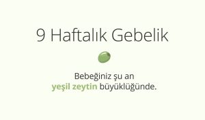 Adım Adım Gebelik: Hamilelikte 9. Hafta