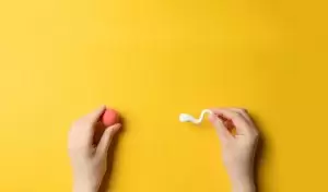 How Does IUI (Insemination) Applied?