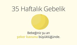 Adım Adım Gebelik: Hamilelikte 35. Hafta