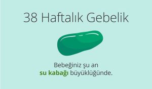 Adım Adım Gebelik: Hamilelikte 38. Hafta