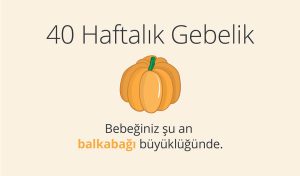 Adım Adım Gebelik: Hamilelikte 40-41. Hafta