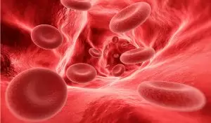 Hemofili Hastalığı Nedir? Belirtileri Nelerdir?