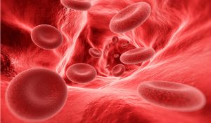 What is Haemophili Disease? What are the Symptoms?