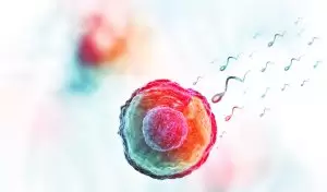 Sigara ve Alkolün Sperm Üretimine Etkisi