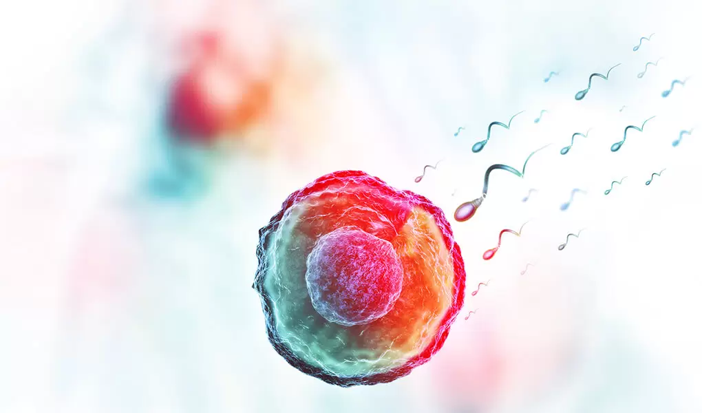 Sigara ve Alkolün Sperm Üretimine Etkisi