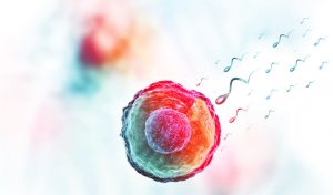 Impact of Smoking and Alcohol over Sperm Production