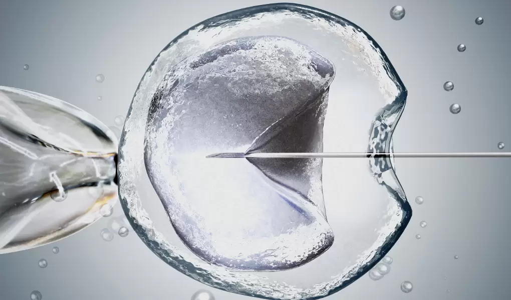 Tüp Bebekte Boş Yumurta Sendromu