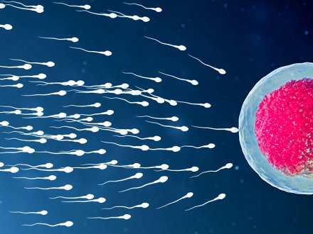 Sperm DNA Hasarı Nedenleri ve Tedavisi