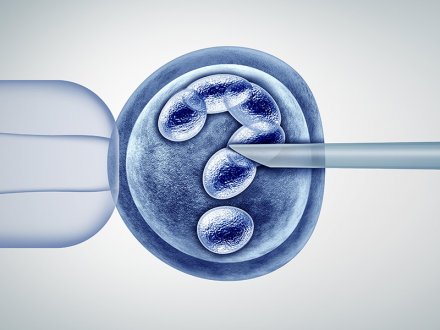 Genetik Ayıklama Embriyoya Zarar Verir mi?