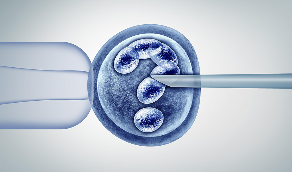 Genetik Ayıklama Embriyoya Zarar Verir mi?