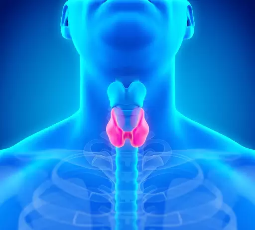bahceci tsh hormon i problemno zabremenjavane Bahçeci