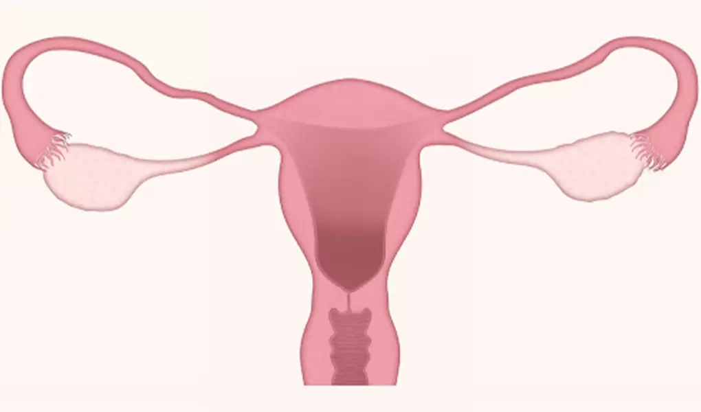 Задържан фоликул