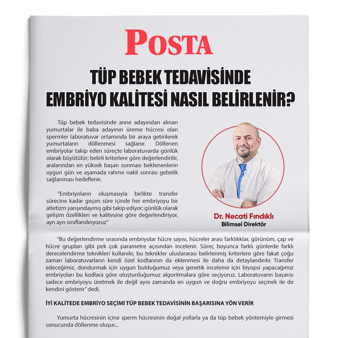 Tüp Bebek Tedavisinde Embriyo Kalitesi Nasıl Belirlenir?