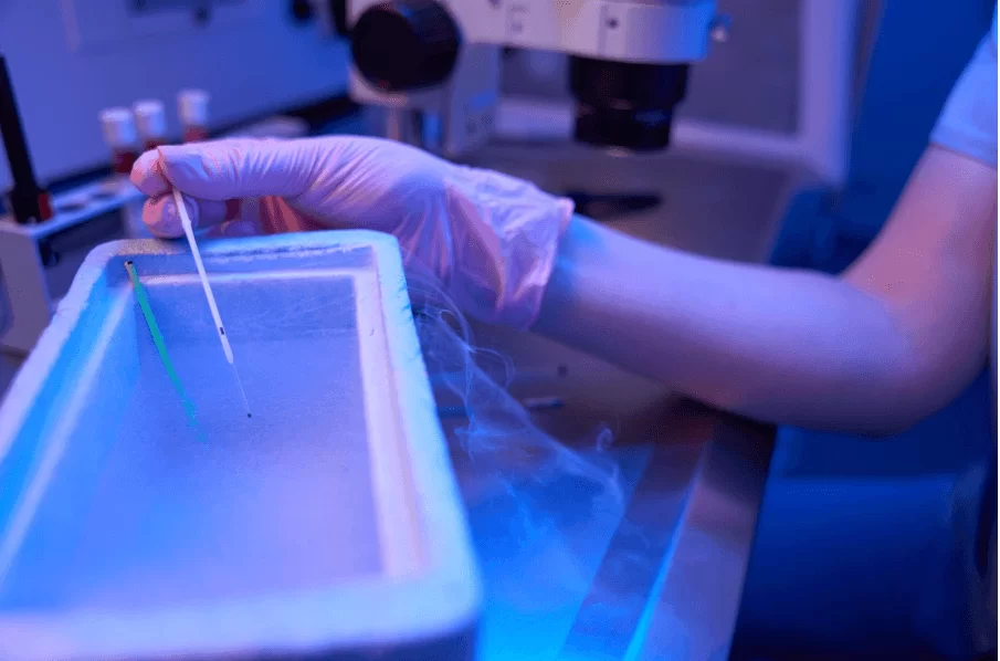 Кога се налага замразяване на сперматозоиди и как се прави?