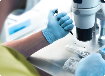 Cariera in gradinarit