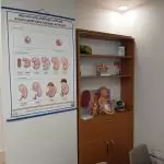 gebe okulu 2 Bahçeci Tüp Bebek Merkezi