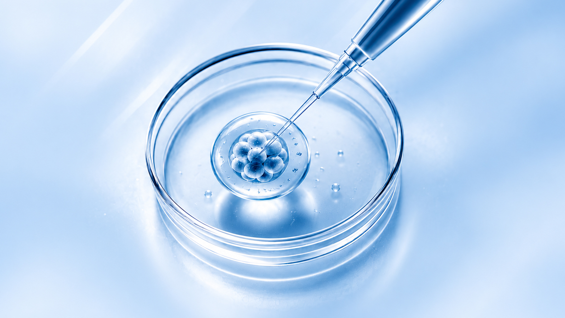 3 Secrets of a Good IVF Laboratory
