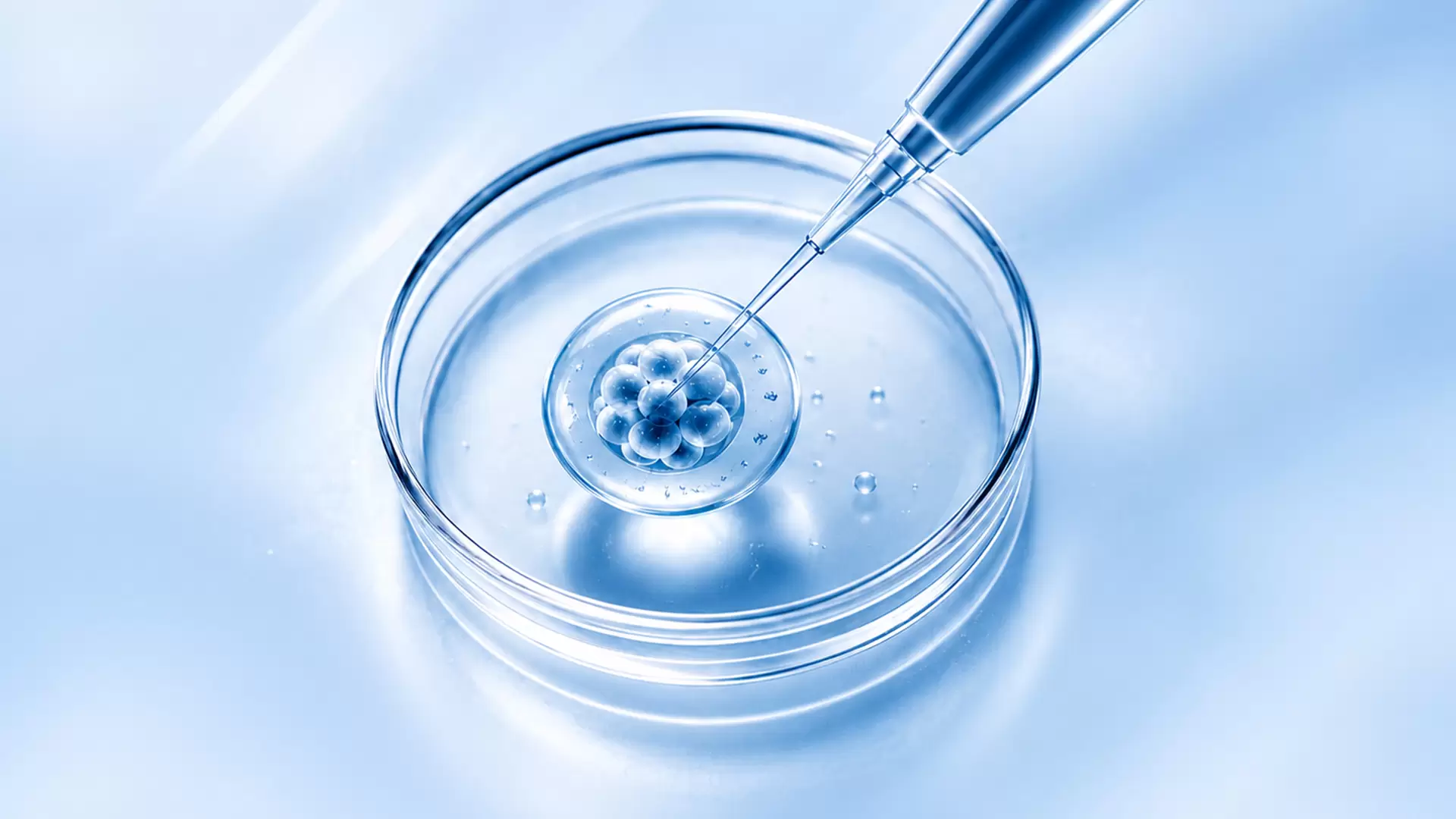 3 Secrets of a Good IVF Laboratory