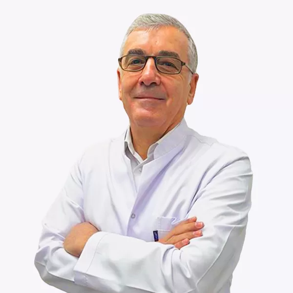 Prof. Dr. A. Aziz Gül